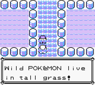 Illustration for article titled Weird Theory: Do Pokémon have a greater purpose?